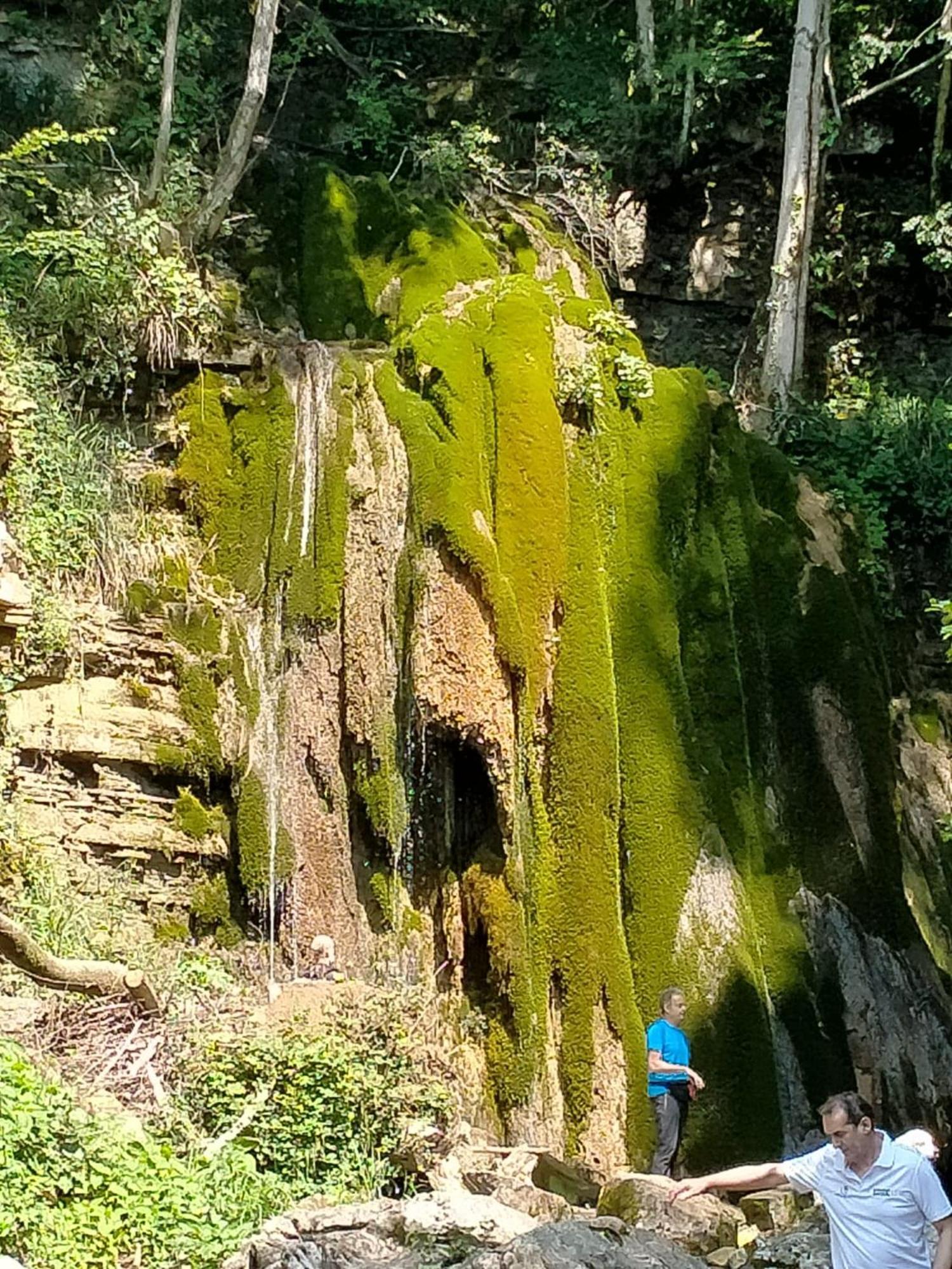 Alloggio Petrigh Canal di Grivo Exterior photo